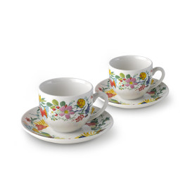 ფინჯანი (2ც) - ბროწეულების ბაღი