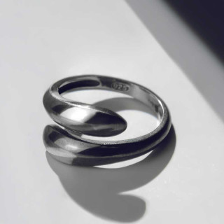 Silver Ring - Kolkheti Two