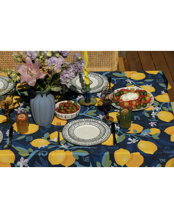 Plate - Shin - 2pcs, Size : 20 cm, 11 image