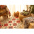 Rug - Isrispiruli, 4 image Rug - Isrispiruli, 4 image