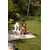 Kids Rug - Nacarkekia, 4 image