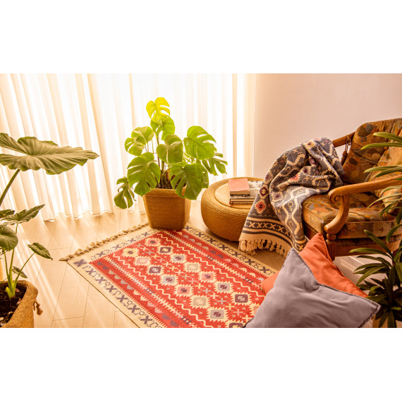 ხალიჩა - ფარდაგი - ბაფთურა, 4 სურათი ხალიჩა - ფარდაგი - ბაფთურა, 4 სურათი