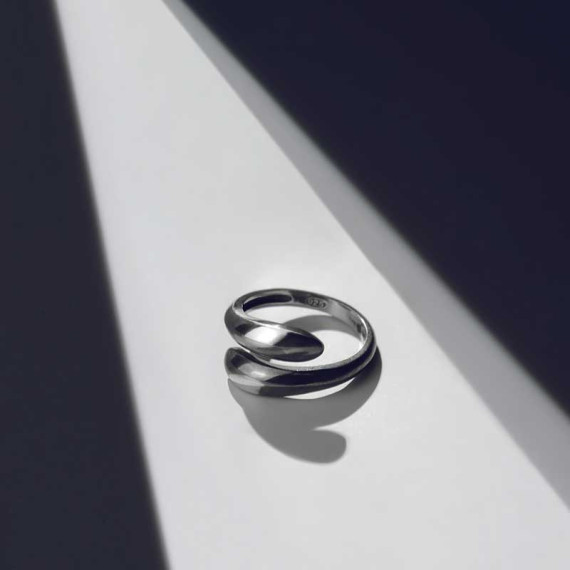 ვერცხლის ბეჭედი - კოლხეთი ორი, 2 სურათი